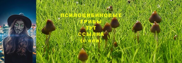 PSILOCYBIN Алзамай