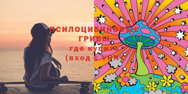 ГАЛЛЮЦИНОГЕННЫЕ ГРИБЫ Алексин